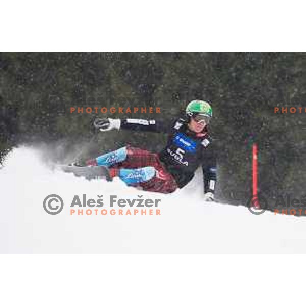 Rok Marguc in action during snowboard match of FIS Snowboard World Cup Parallel Gaint Slalom at Rogla, Slovenia, on January 23, 2016