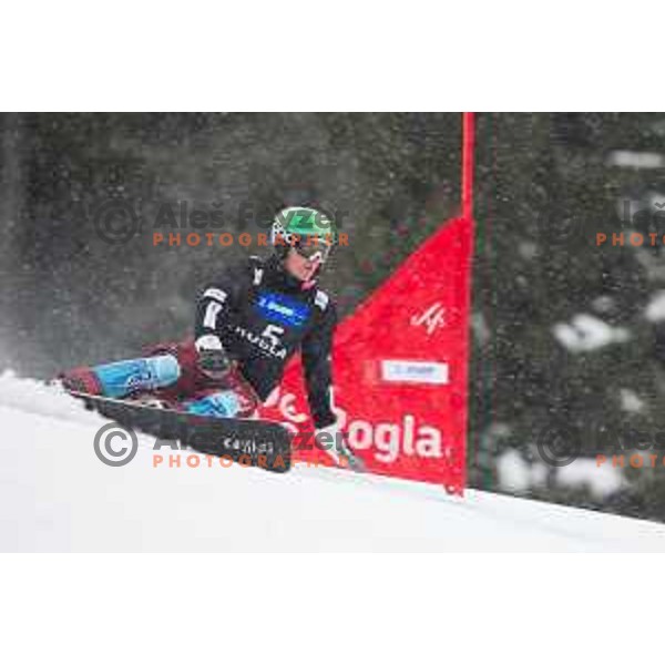 Rok Marguc in action during snowboard match of FIS Snowboard World Cup Parallel Gaint Slalom at Rogla, Slovenia, on January 23, 2016