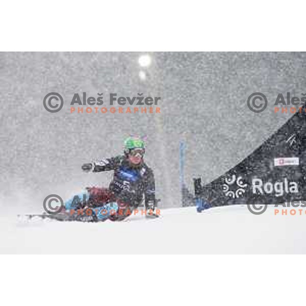 Rok Marguc in action during snowboard match of FIS Snowboard World Cup Parallel Gaint Slalom at Rogla, Slovenia, on January 23, 2016