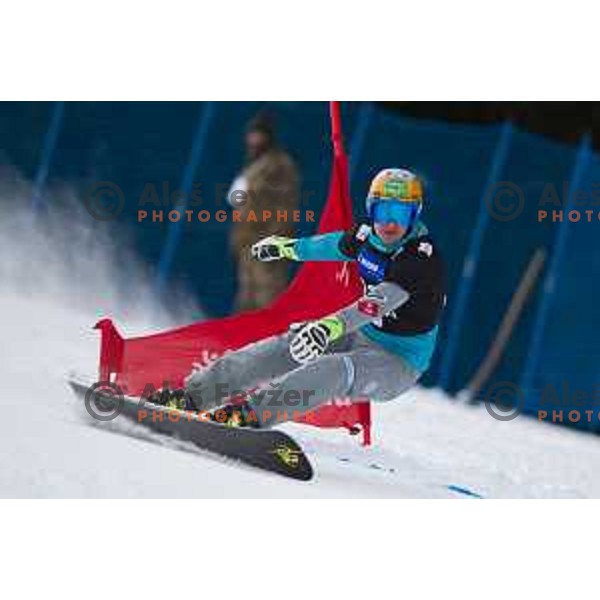Tim Mastnak in action during snowboard match of FIS Snowboard World Cup Parallel Gaint Slalom at Rogla, Slovenia, on January 23, 2016