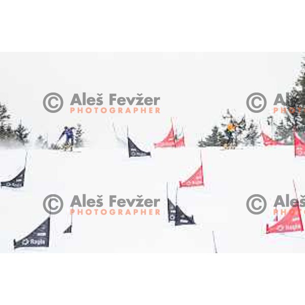 in action during snowboard match of FIS Snowboard World Cup Parallel Gaint Slalom at Rogla, Slovenia, on January 23, 2016