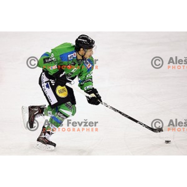 of Telemach Olimpija in action during ice-hockey match Telemach Olimpija - Sapa AV 19 in EBEL league 2015/2016 in Tivoli Hall, Ljubljana, Slovenia on January 24, 2016