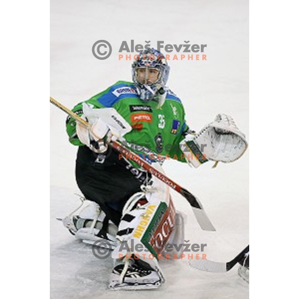 of Telemach Olimpija in action during ice-hockey match Telemach Olimpija - Sapa AV 19 in EBEL league 2015/2016 in Tivoli Hall, Ljubljana, Slovenia on January 24, 2016