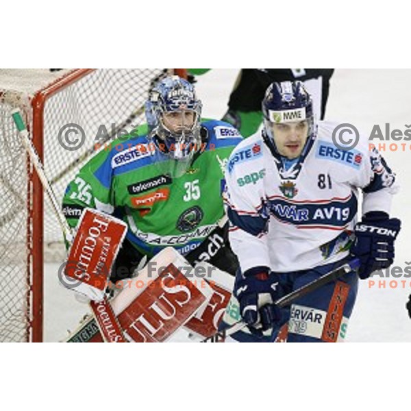 of Telemach Olimpija in action during ice-hockey match Telemach Olimpija - Sapa AV 19 in EBEL league 2015/2016 in Tivoli Hall, Ljubljana, Slovenia on January 24, 2016