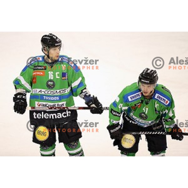 of Telemach Olimpija in action during ice-hockey match Telemach Olimpija - Sapa AV 19 in EBEL league 2015/2016 in Tivoli Hall, Ljubljana, Slovenia on January 24, 2016