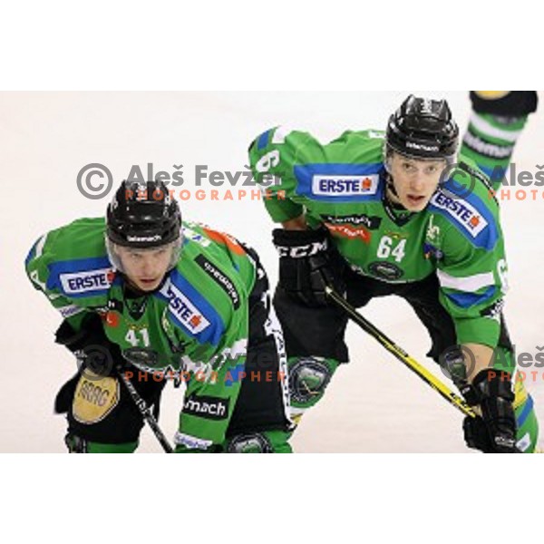 of Telemach Olimpija in action during ice-hockey match Telemach Olimpija - Sapa AV 19 in EBEL league 2015/2016 in Tivoli Hall, Ljubljana, Slovenia on January 24, 2016