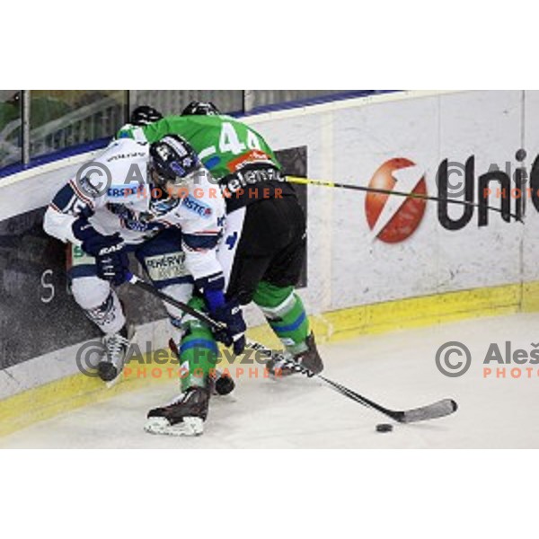of Telemach Olimpija in action during ice-hockey match Telemach Olimpija - Sapa AV 19 in EBEL league 2015/2016 in Tivoli Hall, Ljubljana, Slovenia on January 24, 2016