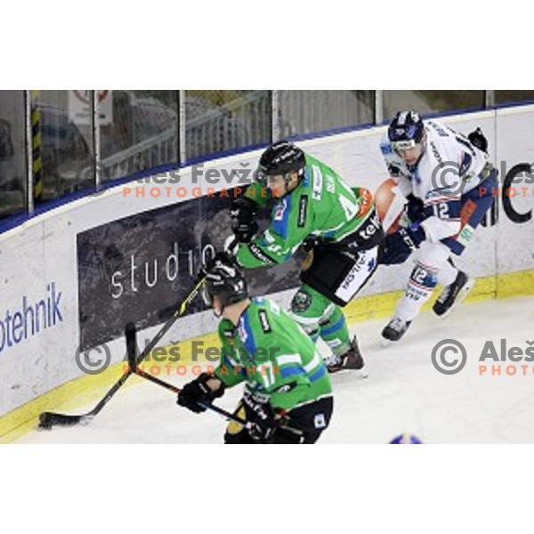 of Telemach Olimpija in action during ice-hockey match Telemach Olimpija - Sapa AV 19 in EBEL league 2015/2016 in Tivoli Hall, Ljubljana, Slovenia on January 24, 2016