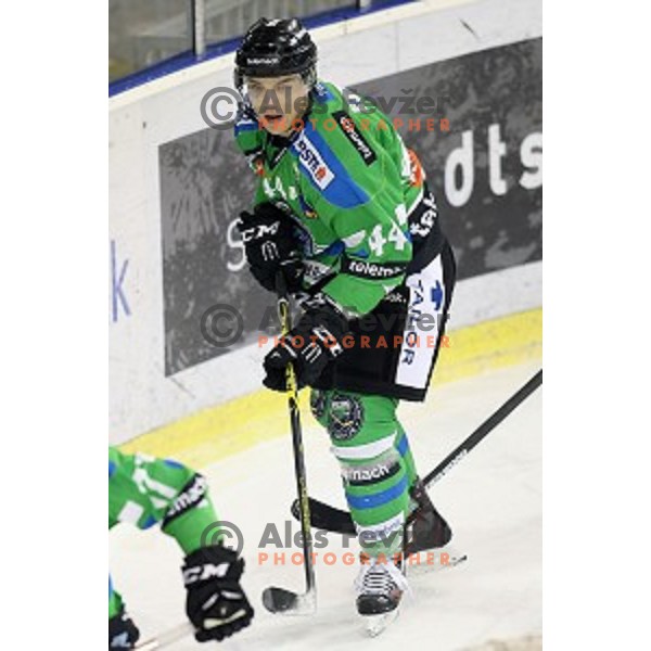 of Telemach Olimpija in action during ice-hockey match Telemach Olimpija - Sapa AV 19 in EBEL league 2015/2016 in Tivoli Hall, Ljubljana, Slovenia on January 24, 2016