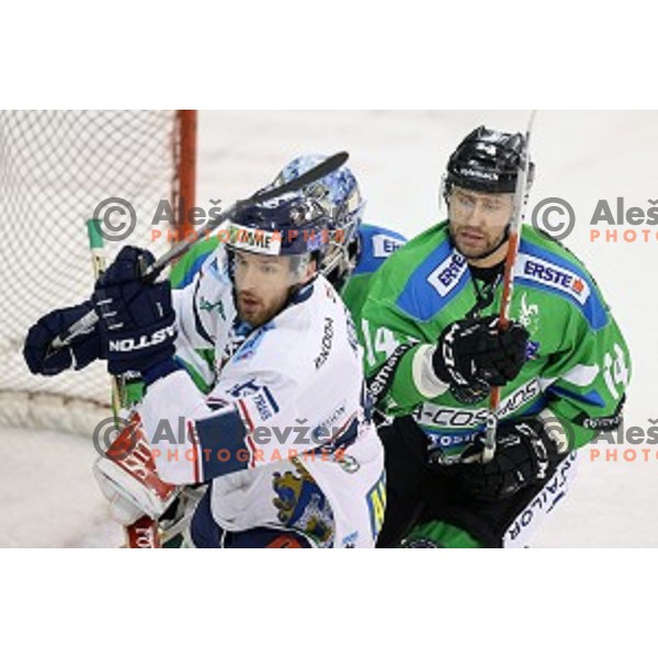 of Telemach Olimpija in action during ice-hockey match Telemach Olimpija - Sapa AV 19 in EBEL league 2015/2016 in Tivoli Hall, Ljubljana, Slovenia on January 24, 2016