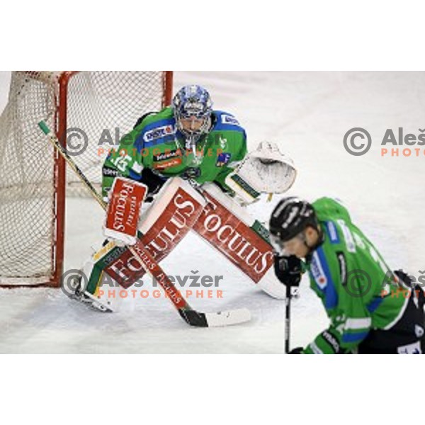 of Telemach Olimpija in action during ice-hockey match Telemach Olimpija - Sapa AV 19 in EBEL league 2015/2016 in Tivoli Hall, Ljubljana, Slovenia on January 24, 2016