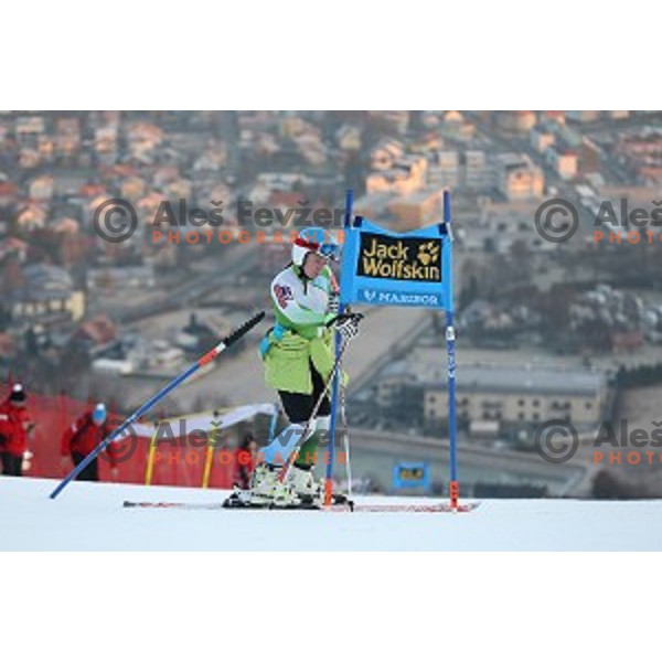 Marusa Ferk (SLO) during Course inspection for FIS Audi World Cup Alpine skiing Giant Slalom for 52 Golden Fox - Zlata Lisica in Maribor, Slovenia on January 30, 2016
