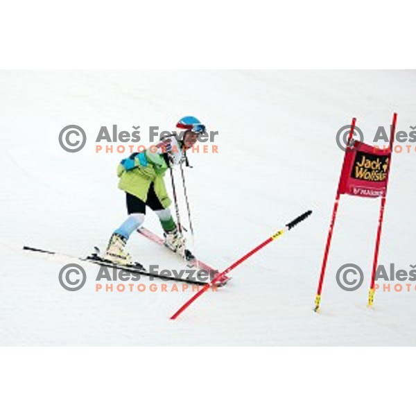 Marusa Ferk (SLO) during Course inspection for FIS Audi World Cup Alpine skiing Giant Slalom for 52 Golden Fox - Zlata Lisica in Maribor, Slovenia on January 30, 2016