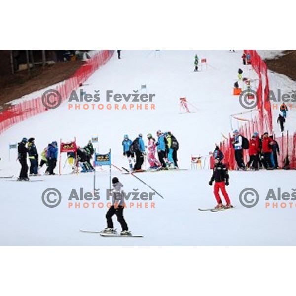 Course inspection for FIS Audi World Cup Alpine skiing Giant Slalom for 52 Golden Fox - Zlata Lisica in Maribor, Slovenia on January 30, 2016