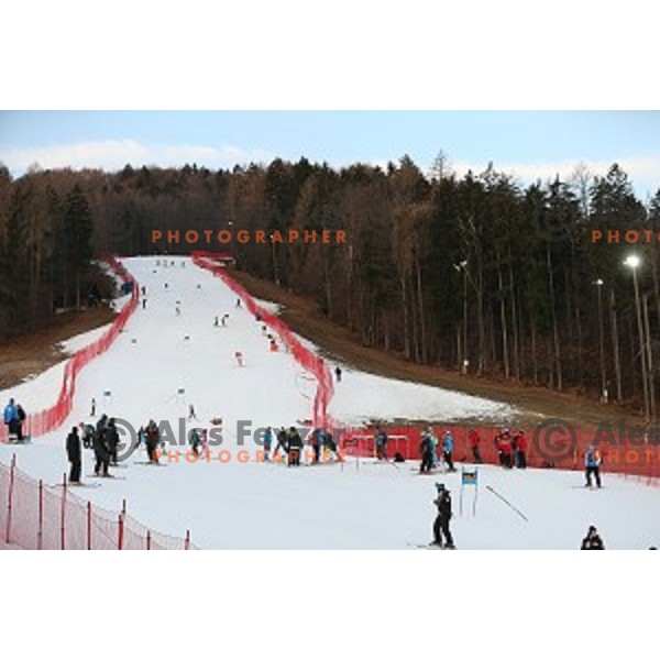 Course inspection for FIS Audi World Cup Alpine skiing Giant Slalom for 52 Golden Fox - Zlata Lisica in Maribor, Slovenia on January 30, 2016