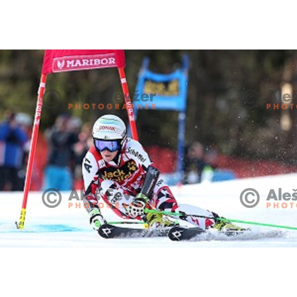 Eva Maria Brem AUT) in first run of FIS Audi World Cup Alpine skiing Giant Slalom for 52 Golden Fox - Zlata Lisica in Maribor, Slovenia on January 30, 2016