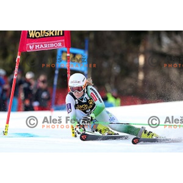 Ana Drev (SLO) skiing in first run of FIS Audi World Cup Alpine skiing Giant Slalom for 52 Golden Fox - Zlata Lisica in Maribor, Slovenia on January 30, 2016