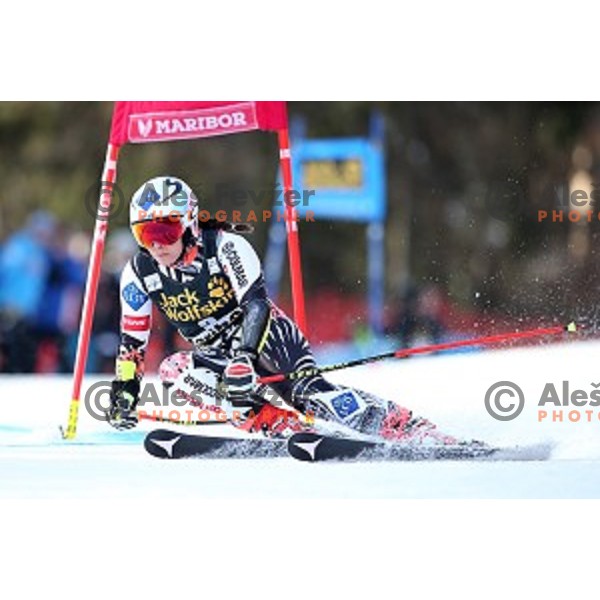 Tina Weirather in first run of FIS Audi World Cup Alpine skiing Giant Slalom for 52 Golden Fox - Zlata Lisica in Maribor, Slovenia on January 30, 2016