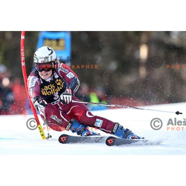 Nina Loeseth in first run of FIS Audi World Cup Alpine skiing Giant Slalom for 52 Golden Fox - Zlata Lisica in Maribor, Slovenia on January 30, 2016