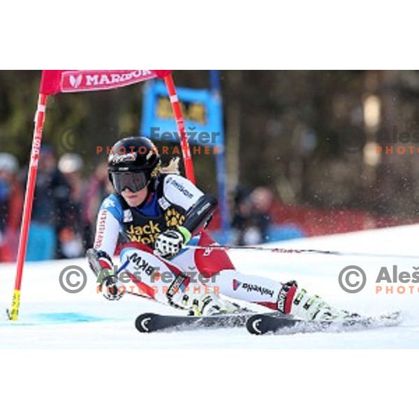 Lara Gut in first run of FIS Audi World Cup Alpine skiing Giant Slalom for 52 Golden Fox - Zlata Lisica in Maribor, Slovenia on January 30, 2016
