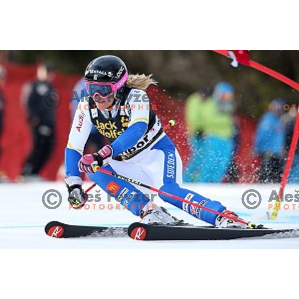 Frida Hansdotter (SWE) at FIS Audi World Cup Alpine skiing Giant Slalom for 52 Golden Fox - Zlata Lisica in Maribor, Slovenia on January 30, 2016