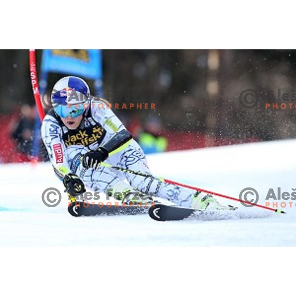 Lindsey Vonn (USA) skiing in first run of FIS Audi World Cup Alpine skiing Giant Slalom for 52 Golden Fox - Zlata Lisica in Maribor, Slovenia on January 30, 2016