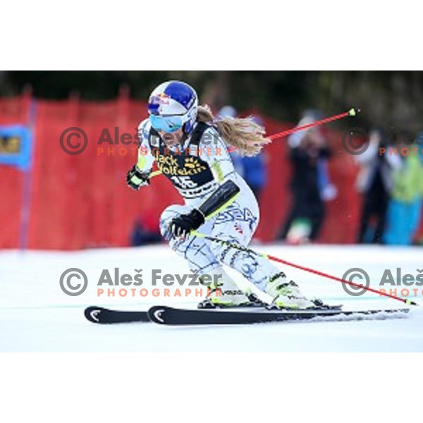 Lindsey Vonn (USA) skiing in first run of FIS Audi World Cup Alpine skiing Giant Slalom for 52 Golden Fox - Zlata Lisica in Maribor, Slovenia on January 30, 2016