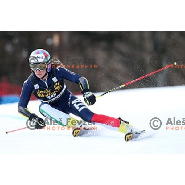 Marta Bassino in first run of FIS Audi World Cup Alpine skiing Giant Slalom for 52 Golden Fox - Zlata Lisica in Maribor, Slovenia on January 30, 2016
