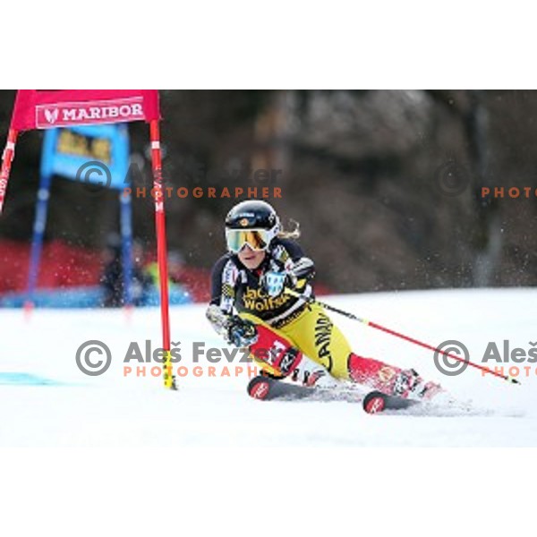 Marie Pier Prefontaine in first run of FIS Audi World Cup Alpine skiing Giant Slalom for 52 Golden Fox - Zlata Lisica in Maribor, Slovenia on January 30, 2016