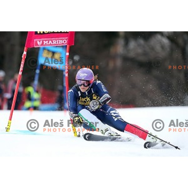 Elena Curtoni in first run of FIS Audi World Cup Alpine skiing Giant Slalom for 52 Golden Fox - Zlata Lisica in Maribor, Slovenia on January 30, 2016