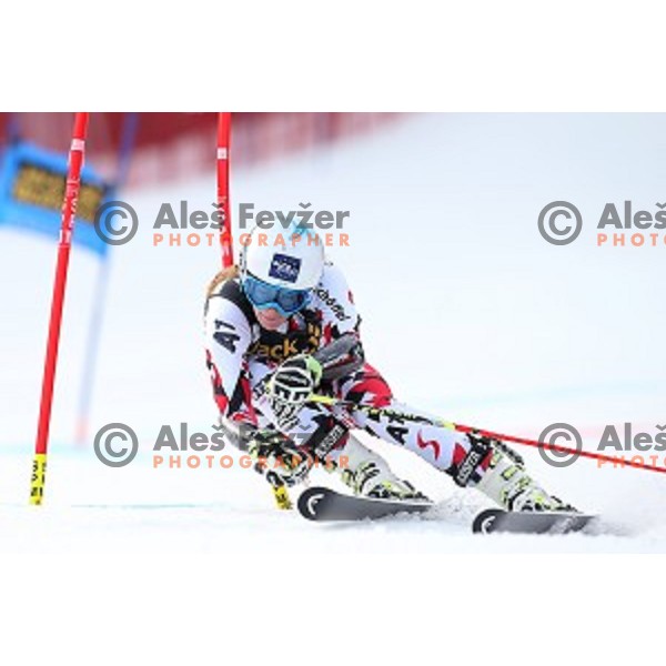 Carmen Thalmann skiing in first run of FIS Audi World Cup Alpine skiing Giant Slalom for 52 Golden Fox - Zlata Lisica in Maribor, Slovenia on January 30, 2016