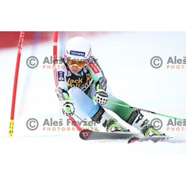 Katarina Lavtar (SLO) skiing in first run of FIS Audi World Cup Alpine skiing Giant Slalom for 52 Golden Fox - Zlata Lisica in Maribor, Slovenia on January 30, 2016