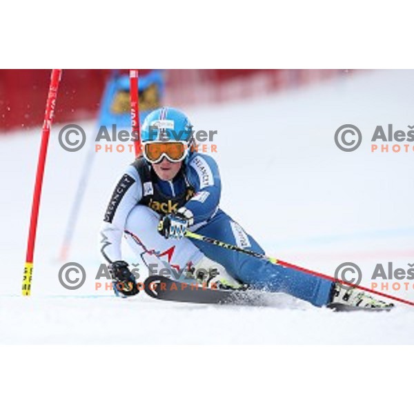 Alexandra Tilley in first run of FIS Audi World Cup Alpine skiing Giant Slalom for 52 Golden Fox - Zlata Lisica in Maribor, Slovenia on January 30, 2016