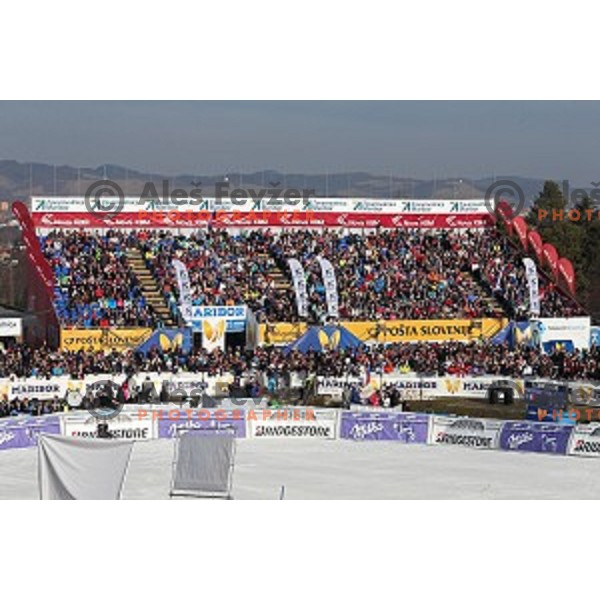 FIS Audi World Cup Alpine skiing Giant Slalom for 52 Golden Fox - Zlata Lisica in Maribor, Slovenia on January 30, 2016