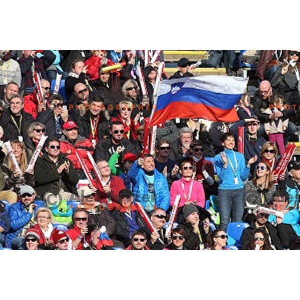 Borut Pahor, President of Slovenia and Maja Makovec Brencic at FIS Audi World Cup Alpine skiing Giant Slalom for 52 Golden Fox - Zlata Lisica in Maribor, Slovenia on January 30, 2016