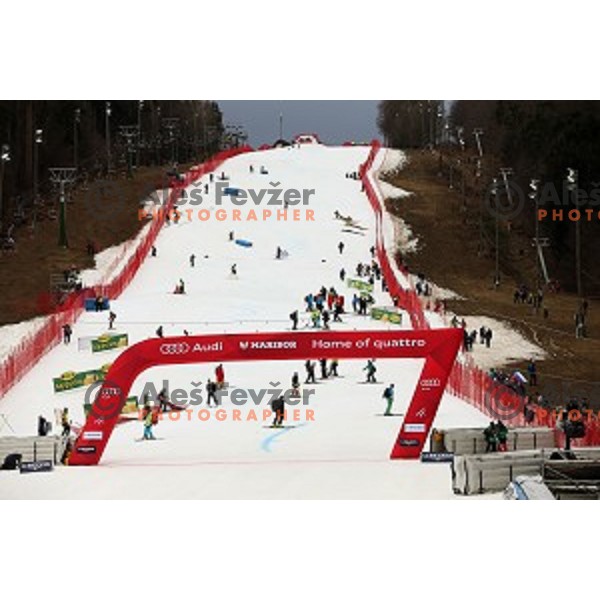 FIS Audi World Cup Alpine Skiing Slalom for 52 Golden Fox - Zlata Lisica in Maribor, Slovenia on January 31, 2016 which was cancelled due to warm temperatures