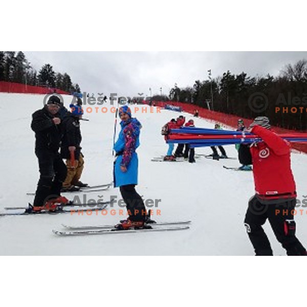 FIS Audi World Cup Alpine Skiing Slalom for 52 Golden Fox - Zlata Lisica in Maribor, Slovenia on January 31, 2016 which was cancelled due to warm temperatures