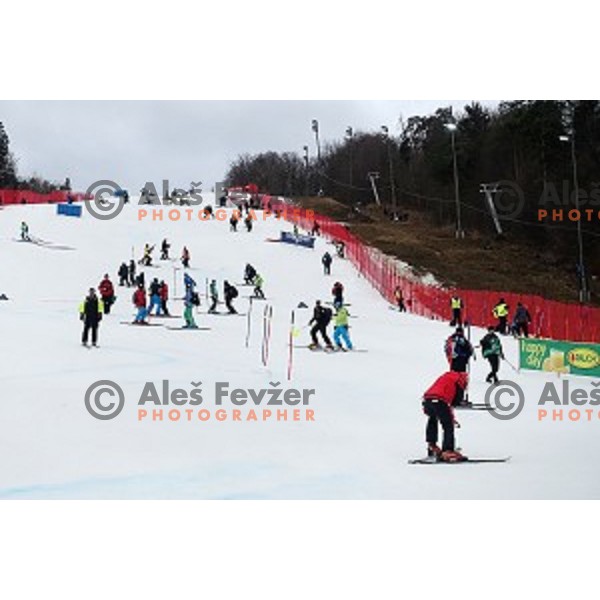 FIS Audi World Cup Alpine Skiing Slalom for 52 Golden Fox - Zlata Lisica in Maribor, Slovenia on January 31, 2016 which was cancelled due to warm temperatures