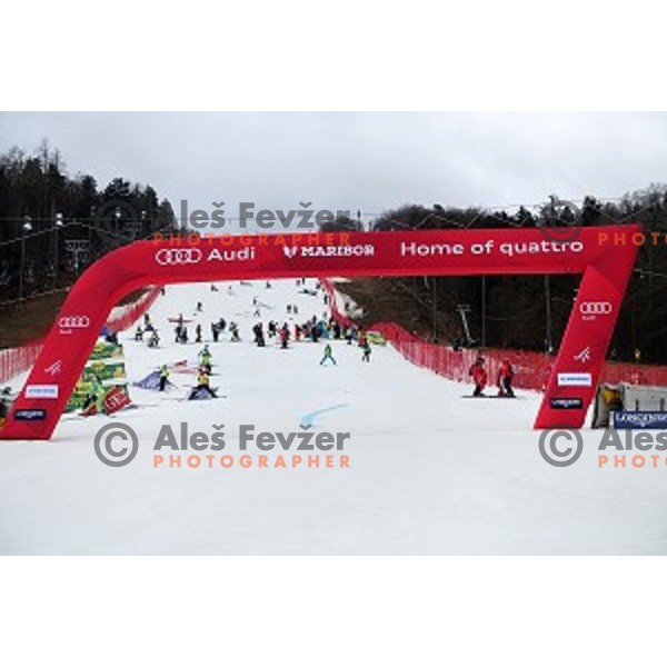 FIS Audi World Cup Alpine Skiing Slalom for 52 Golden Fox - Zlata Lisica in Maribor, Slovenia on January 31, 2016 which was cancelled due to warm temperatures