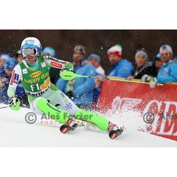 Ilka Stuhec skiing as forerunner at FIS Audi World Cup Alpine Skiing Slalom for 52 Golden Fox - Zlata Lisica in Maribor, Slovenia on January 31, 2016 which was cancelled due to warm temperatures