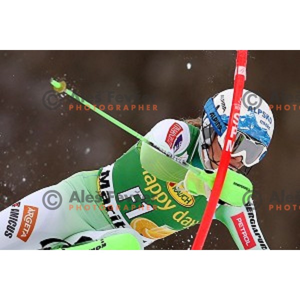 Ilka Stuhec skiing as forerunner at FIS Audi World Cup Alpine Skiing Slalom for 52 Golden Fox - Zlata Lisica in Maribor, Slovenia on January 31, 2016 which was cancelled due to warm temperatures