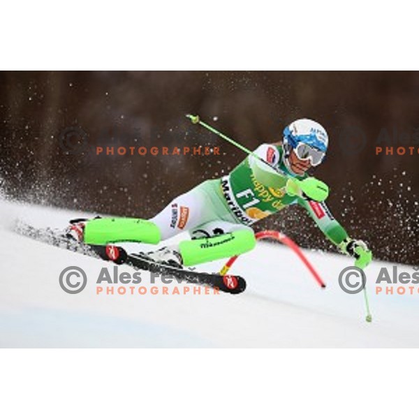 Ilka Stuhec skiing as forerunner at FIS Audi World Cup Alpine Skiing Slalom for 52 Golden Fox - Zlata Lisica in Maribor, Slovenia on January 31, 2016 which was cancelled due to warm temperatures