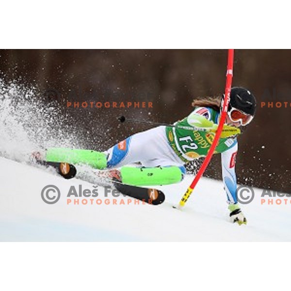 Ajlec skiing as forerunner at FIS Audi World Cup Alpine Skiing Slalom for 52 Golden Fox - Zlata Lisica in Maribor, Slovenia on January 31, 2016 which was cancelled due to warm temperatures