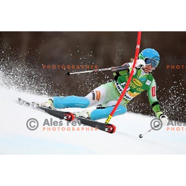Vanja Brodnik skiing as forerunner at FIS Audi World Cup Alpine Skiing Slalom for 52 Golden Fox - Zlata Lisica in Maribor, Slovenia on January 31, 2016 which was cancelled due to warm temperatures