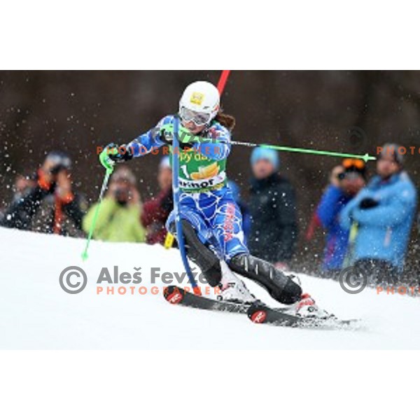 Petra Vlhova skiing in first run of FIS Audi World Cup Alpine Skiing Slalom for 52 Golden Fox - Zlata Lisica in Maribor, Slovenia on January 31, 2016 which was cancelled due to warm temperatures