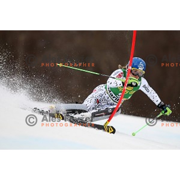 Veronika Velez Zuzulova skiing in first run of FIS Audi World Cup Alpine Skiing Slalom for 52 Golden Fox - Zlata Lisica in Maribor, Slovenia on January 31, 2016 which was cancelled due to warm temperatures