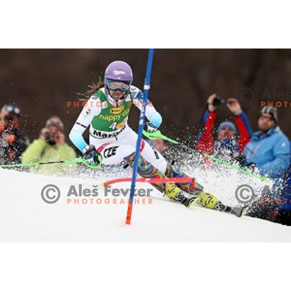 Sarka Strachova skiing in first run of FIS Audi World Cup Alpine Skiing Slalom for 52 Golden Fox - Zlata Lisica in Maribor, Slovenia on January 31, 2016 which was cancelled due to warm temperatures