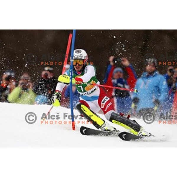 Wendy Holdener skiing in first run of FIS Audi World Cup Alpine Skiing Slalom for 52 Golden Fox - Zlata Lisica in Maribor, Slovenia on January 31, 2016 which was cancelled due to warm temperatures