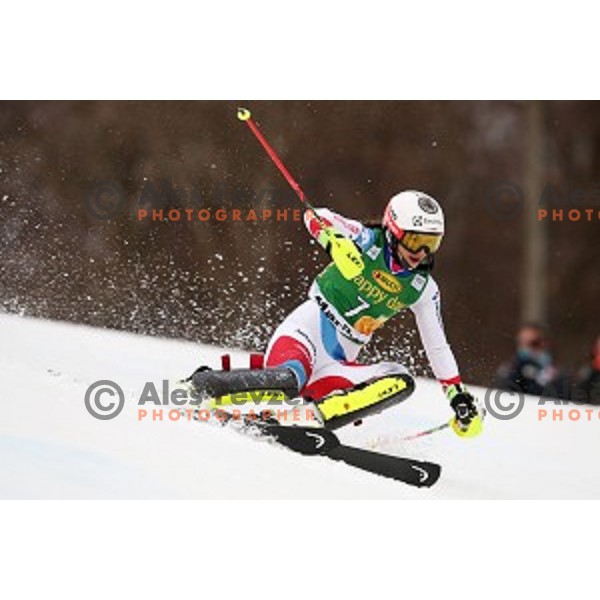 Wendy Holdener skiing in first run of FIS Audi World Cup Alpine Skiing Slalom for 52 Golden Fox - Zlata Lisica in Maribor, Slovenia on January 31, 2016 which was cancelled due to warm temperatures