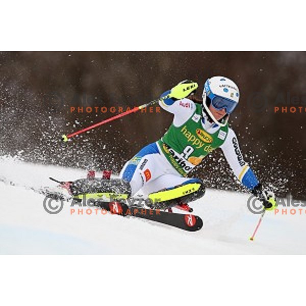 Maria Pietilae Holmner skiing in first run of FIS Audi World Cup Alpine Skiing Slalom for 52 Golden Fox - Zlata Lisica in Maribor, Slovenia on January 31, 2016 which was cancelled due to warm temperatures